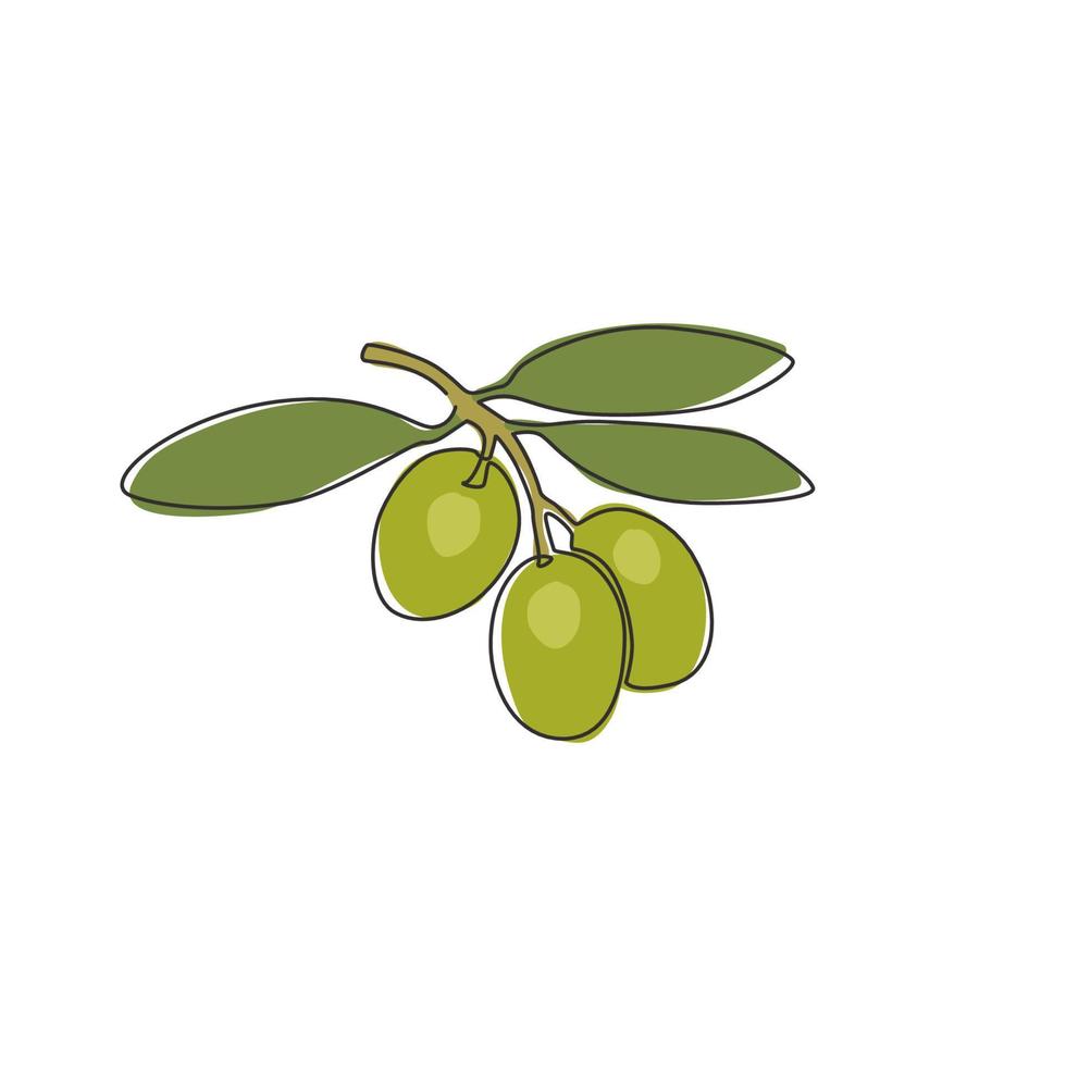 Eine einzige Strichzeichnung von gesunden Bio-Olivenfrüchten für die Identität des Gartenlogos. Konzept der frischen Kernzutaten für das Fruchtsymbol. moderne durchgehende Linie zeichnen Design-Vektorgrafik-Illustration vektor