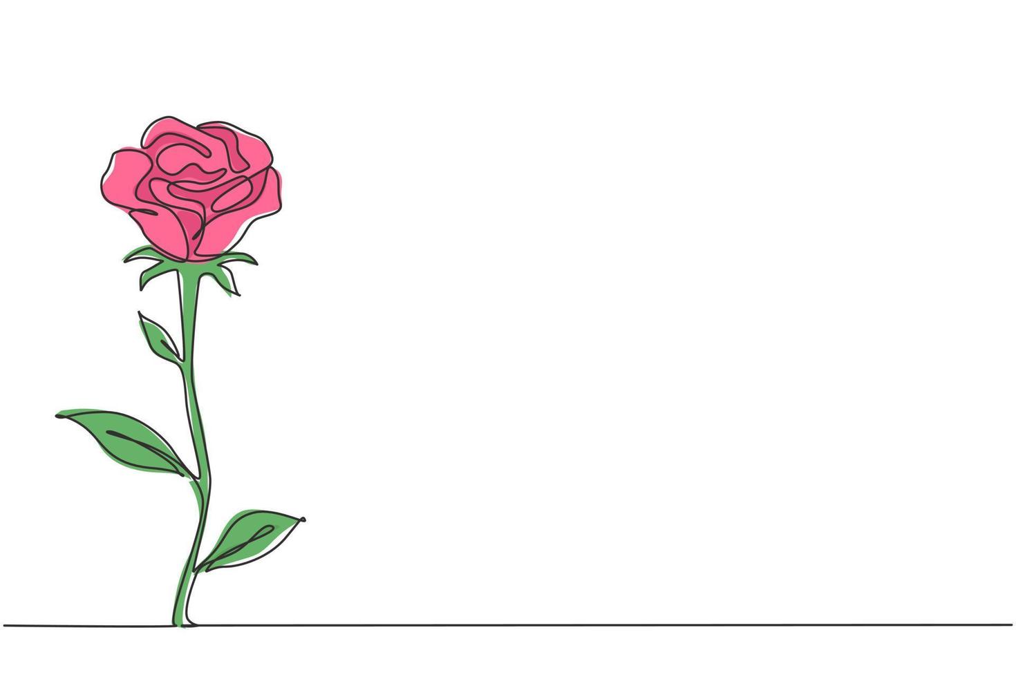 einzelne durchgehende Strichzeichnung von frischer romantischer schöner Rosenblume. Grußkarte, Einladung, Logo, Banner, Plakatkonzept. moderne einzeilige Grafik-Draw-Design-Vektor-Illustration vektor