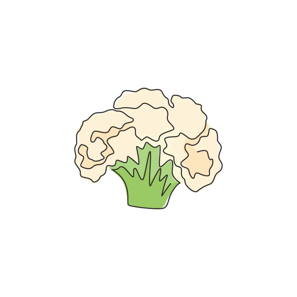 en enda linjeritning av hel hälsosam ekologisk blomkål för gårdslogotyp. färsk brassica oleracea koncept för grönsaksikon. modern kontinuerlig linje rita design vektorgrafisk illustration vektor
