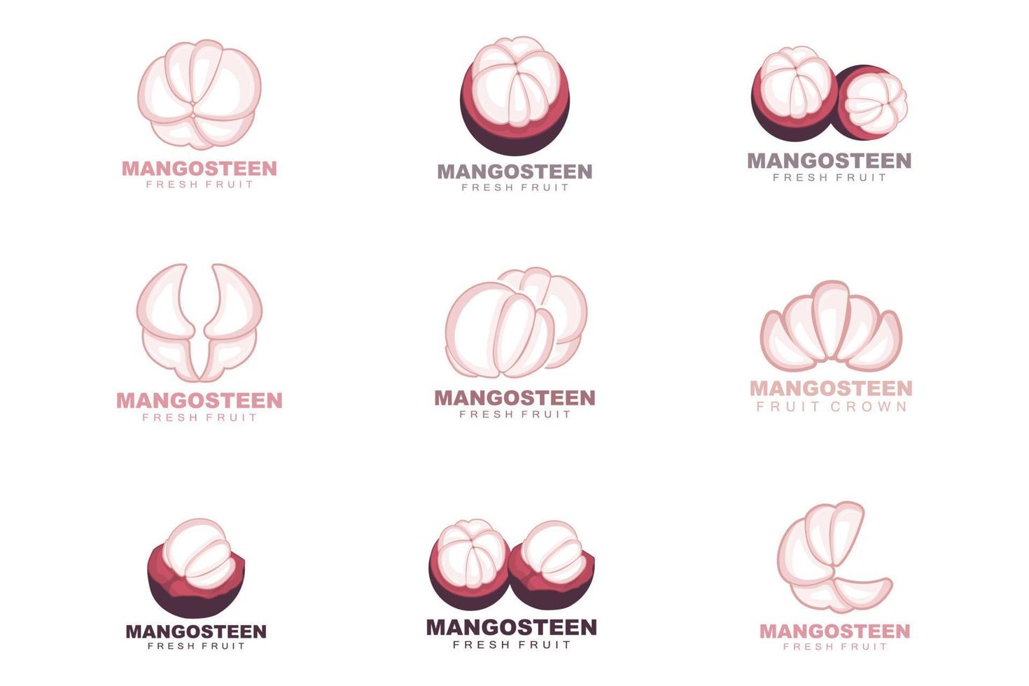 Mangostan-Logo, Mangostan-Fleisch-Illustration, vitaminreiche Fruchtkönigin, Design von Frucht-Logo-Vektoretiketten vektor