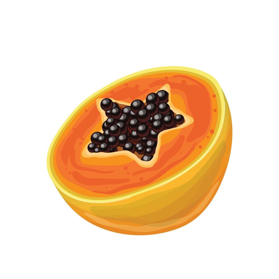 Papaya-Schnitt-Cartoon-Vektor-Illustration vektor