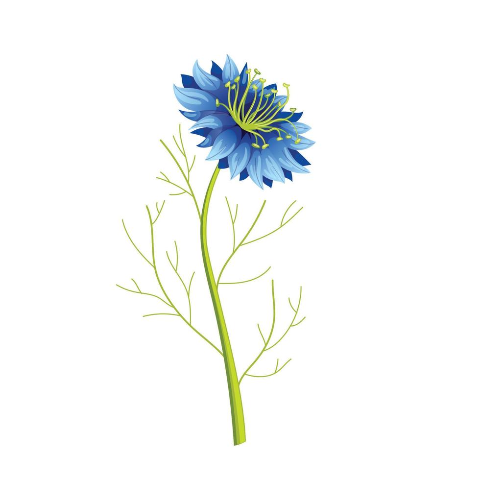 nigella sativa kummin svart tecknad serie vektor illustration