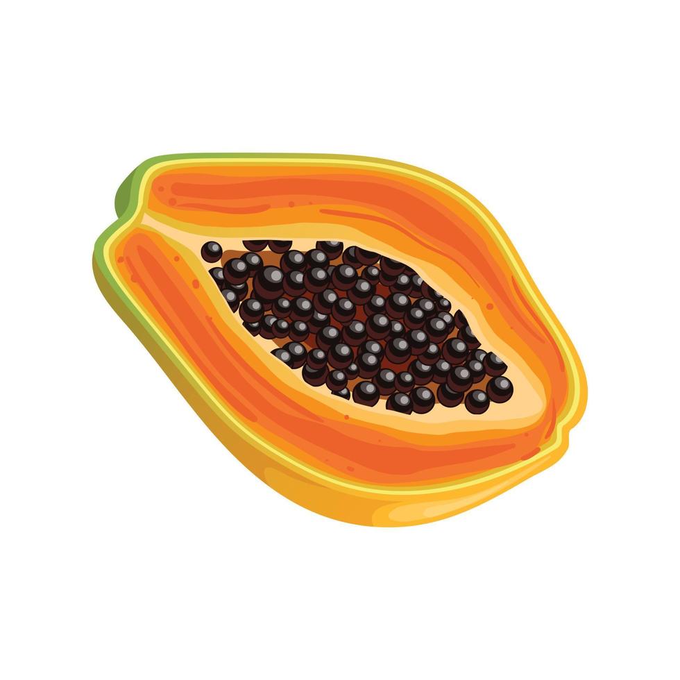 Papaya-Schnitt-Cartoon-Vektor-Illustration vektor