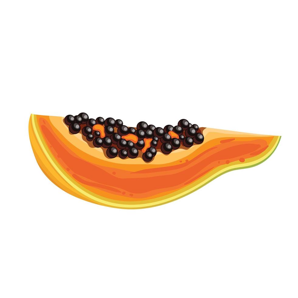 Papaya-Scheiben-Frucht-Cartoon-Vektor-Illustration vektor