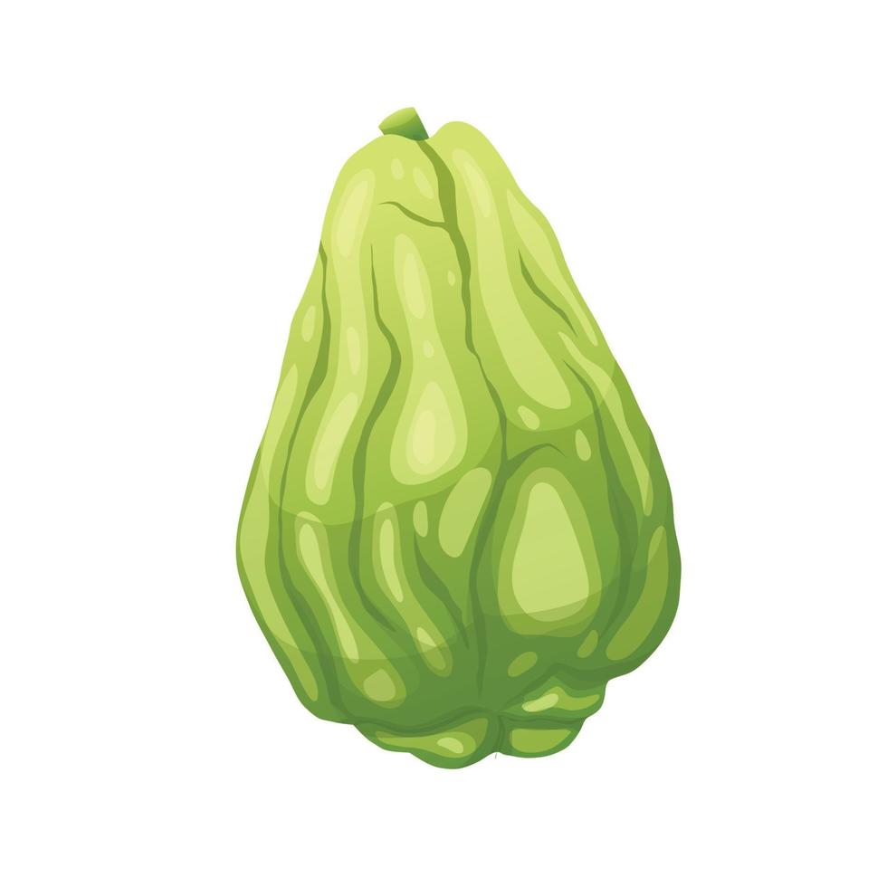 chayote färsk tecknad serie vektor illustration