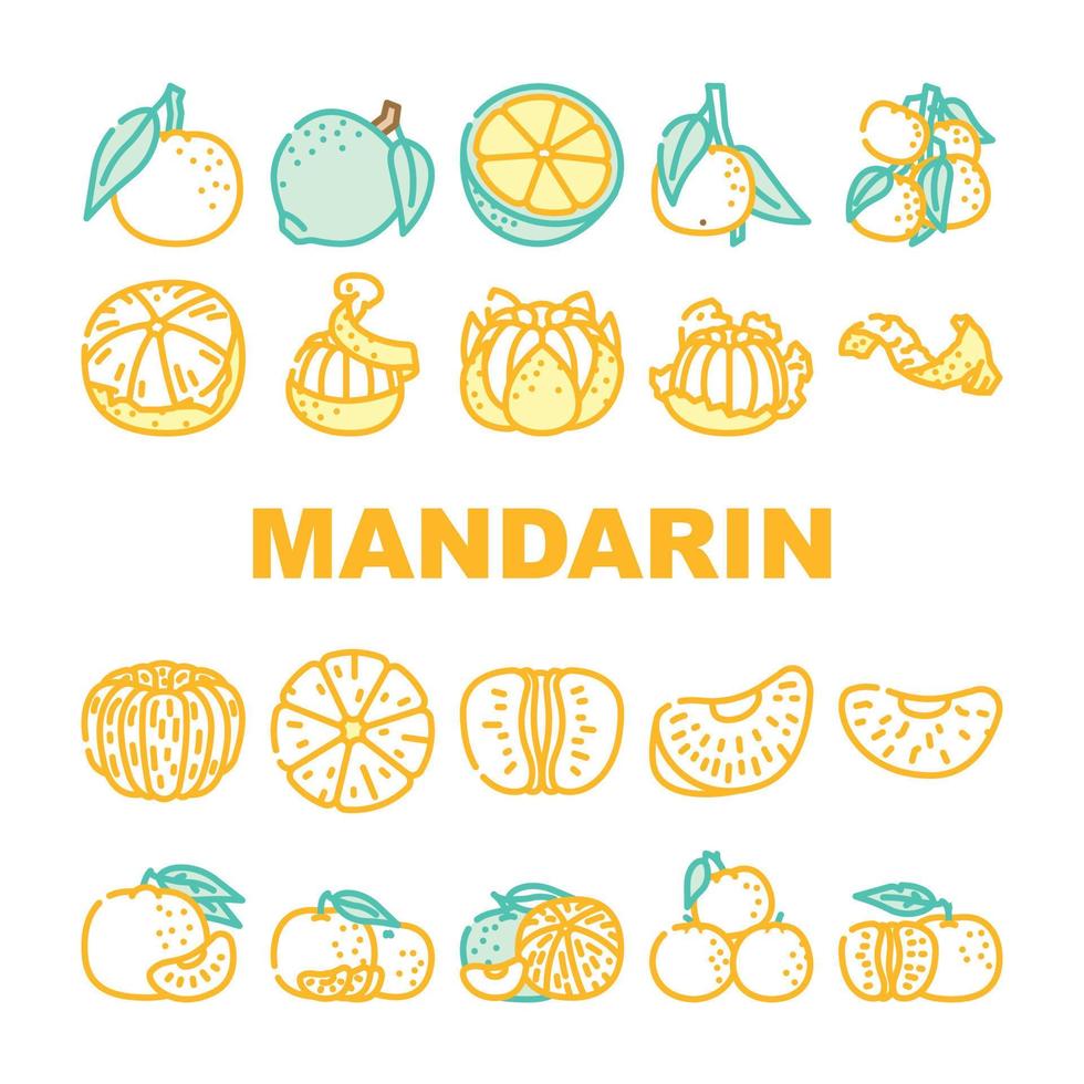 Mandarin Zitrusfrüchte Obst Symbole einstellen Vektor