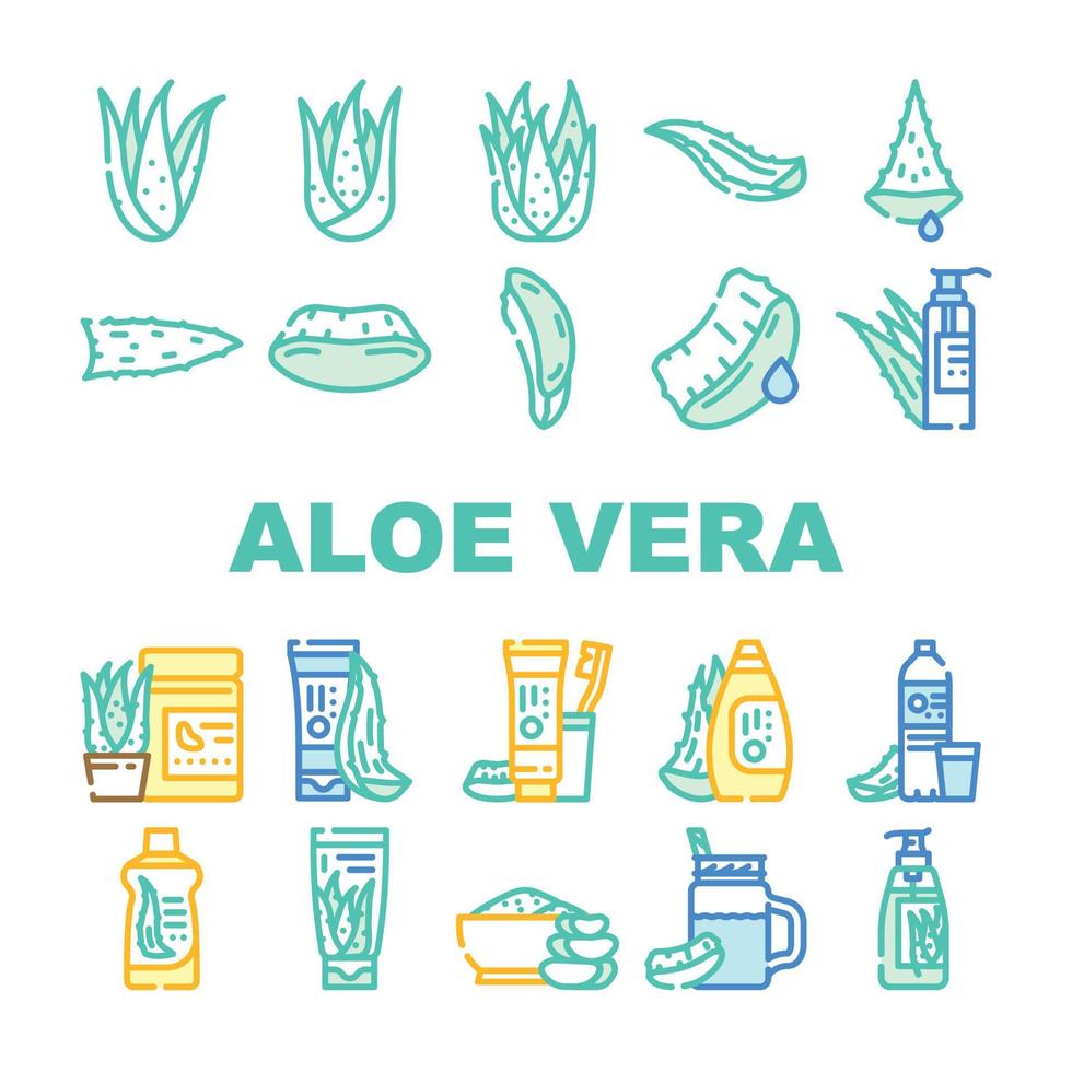 aloe vera växt natur grön blad ikoner uppsättning vektor