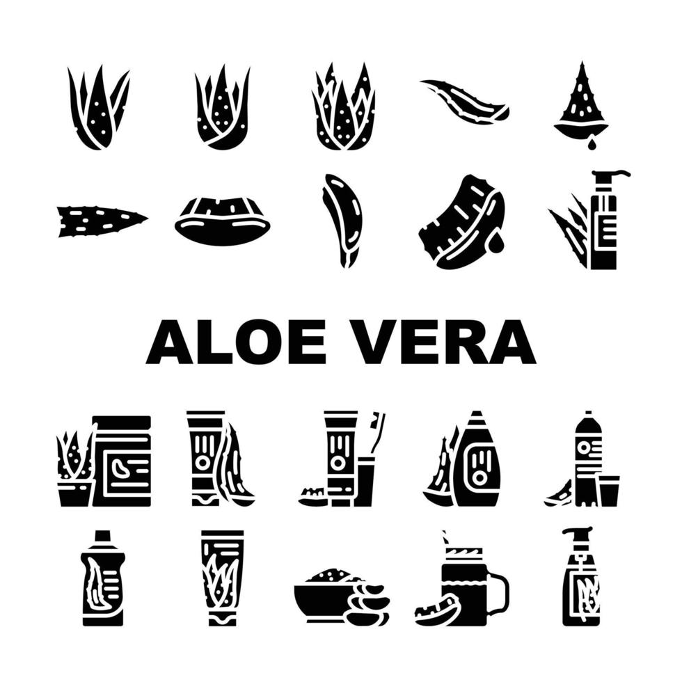 aloe vera växt natur grön blad ikoner uppsättning vektor