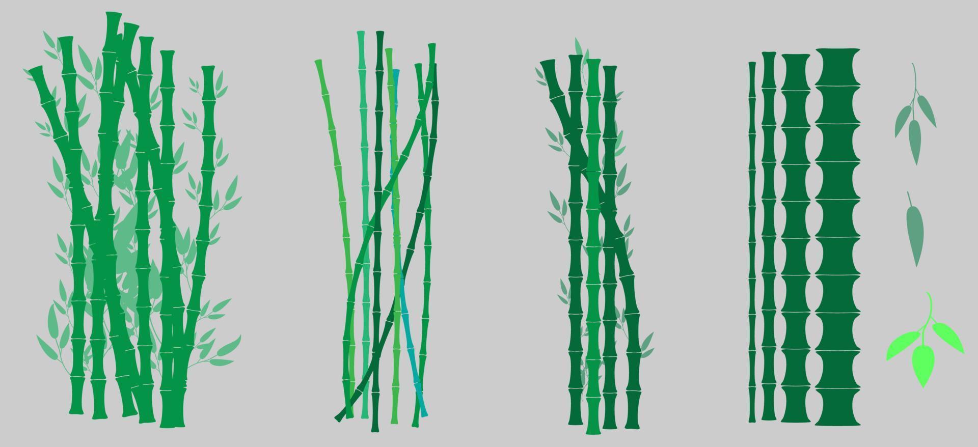 grön bambu växt med löv och stjälk vektor uppsättning vit bakgrund för design