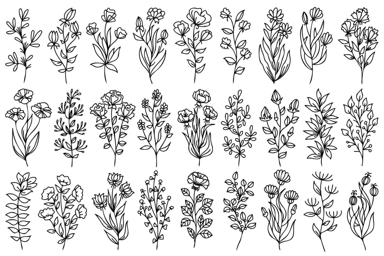 Linie Kunst Vektor Zeichnung. einstellen von Pflanzen, Blätter und Blumen. schwarz skizzieren von botanisch Designs isoliert auf Weiß Hintergrund. Blumen Vektor linear Illustration. minimalistisch druckt Satz.