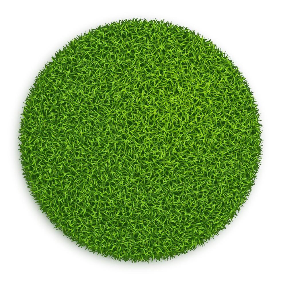 Grün Gras Kreis Feld isoliert auf Weiß Hintergrund vektor