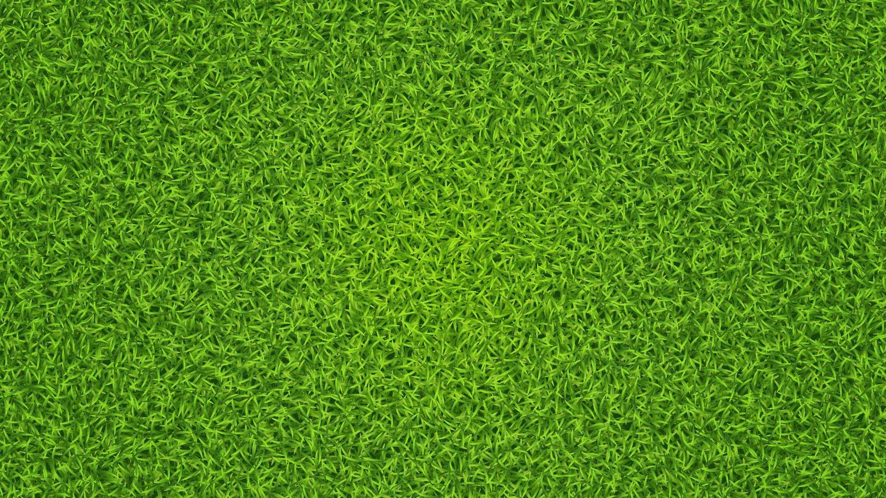Grün Gras Vektor Textur. frisch Rasen Sommer- Gras Hintergrund