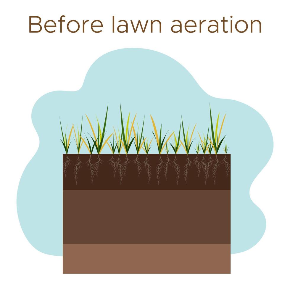 gräsmatta vård - luftning och markifiering. etiketter förbi skede-före. intag av ämnen-vatten, syre, och näringsämnen till utfodra de gräs och jord. vektor platt illustration isolerat