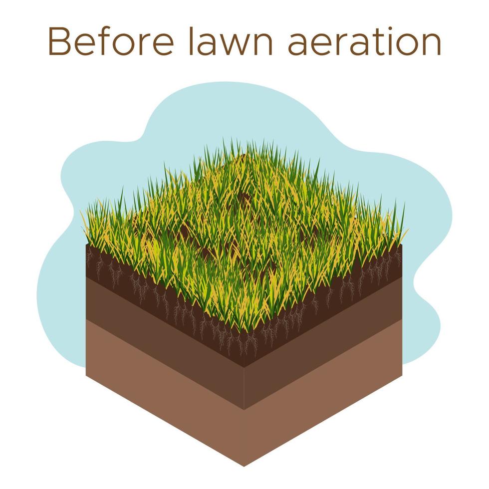 gräsmatta vård - luftning och markifiering. etiketter förbi skede-före. intag av ämnen-vatten, syre, och näringsämnen till utfodra de gräs och jord. vektor isometrisk illustration isolerat