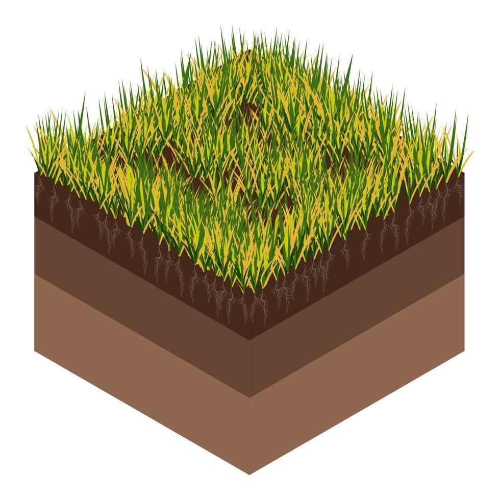 gräsmatta vård - luftning och markifiering. etiketter förbi skede-före. intag av ämnen-vatten, syre, och näringsämnen till utfodra de gräs och jord. vektor isometrisk illustration isolerat