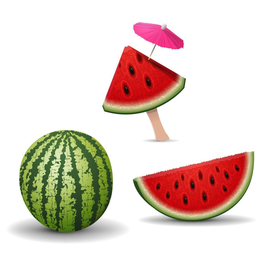 Stücke der Wassermelone lokalisiert auf weißem Hintergrund für Ihre Kreativität vektor