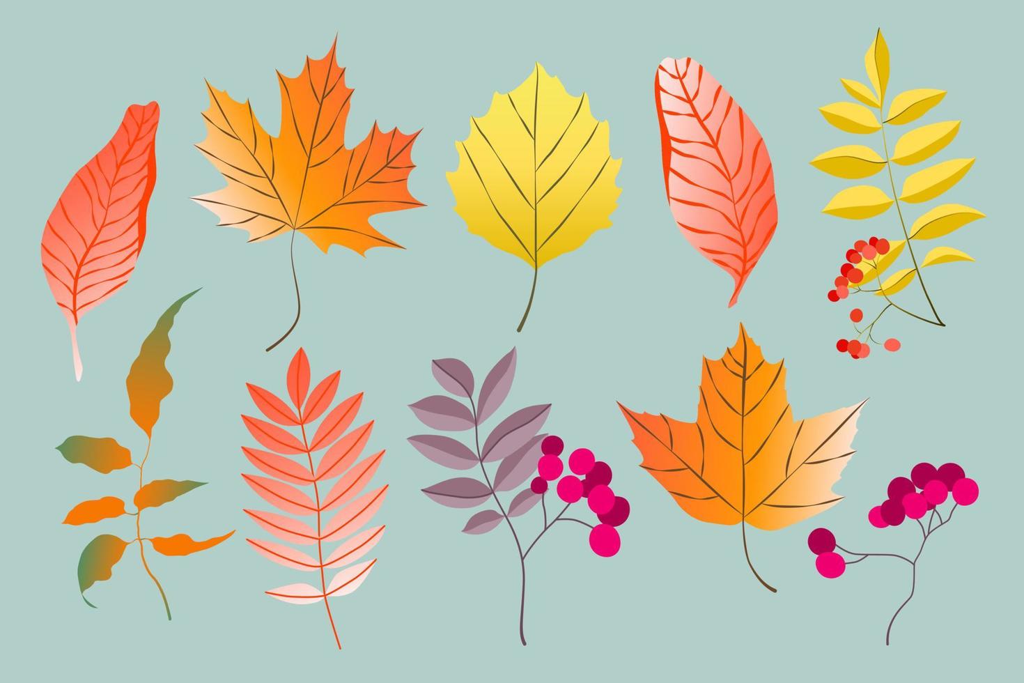 Vielzahl von bunten, trendigen Herbstblättern. Vektorgrafiken für Web, App und Print. elegante formen floristische isolierte farbverlaufsblätter. Wald, botanisches, minimalistisches Blumenset. vektor
