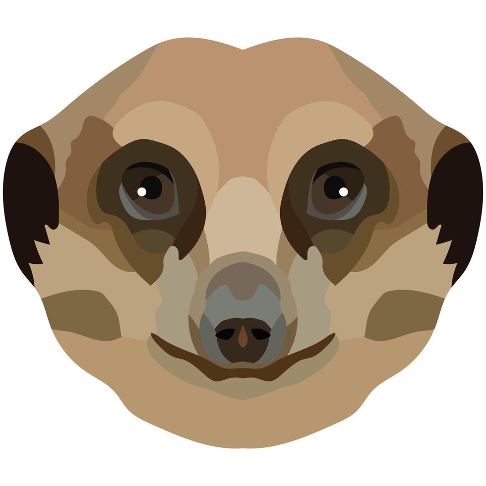 Erdmännchen Gesicht. ein Illustration von ein Erdmännchen Schnauze ist abgebildet. hell Porträt auf ein Weiß Hintergrund. Vektor Grafik. Tier Logo.