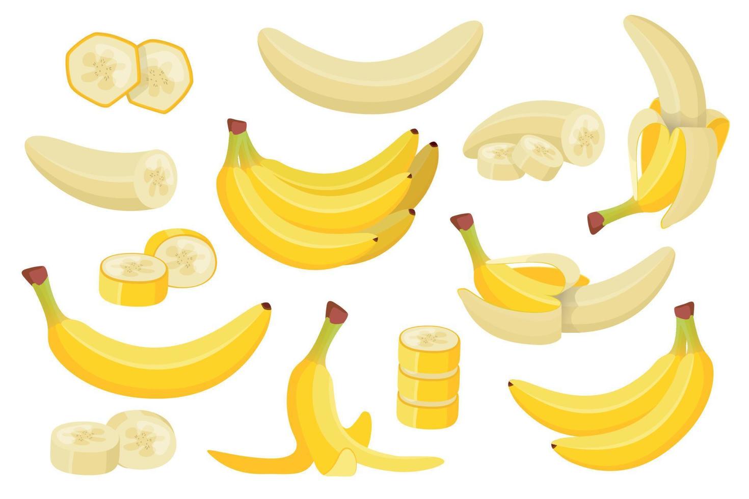 verschiedene Banane eben Satz. exotisch natürlich Früchte Sammlung. Vektor Karikatur Illustration