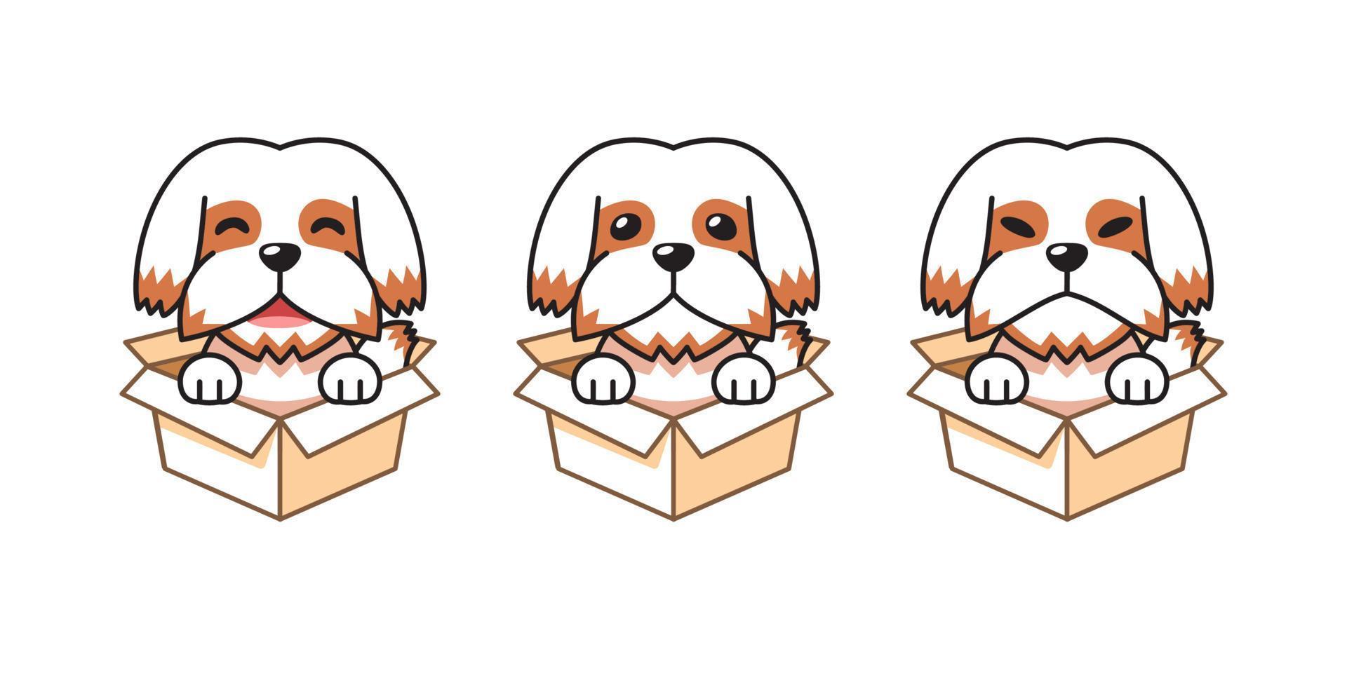 Vektor Karikatur Illustration einstellen von süß shih tzu Hund zeigen anders Emotionen im Karton Kisten
