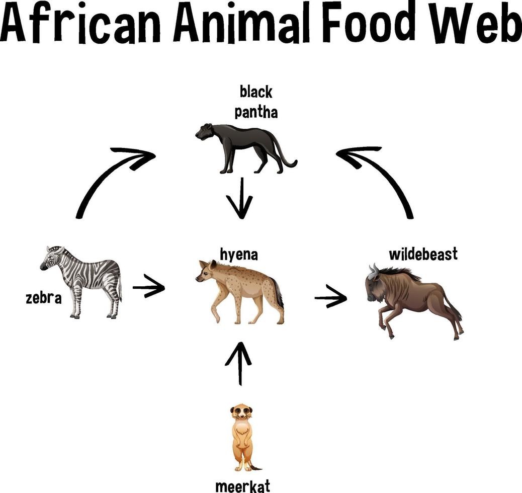 afrikansk djurmatweb för utbildning vektor