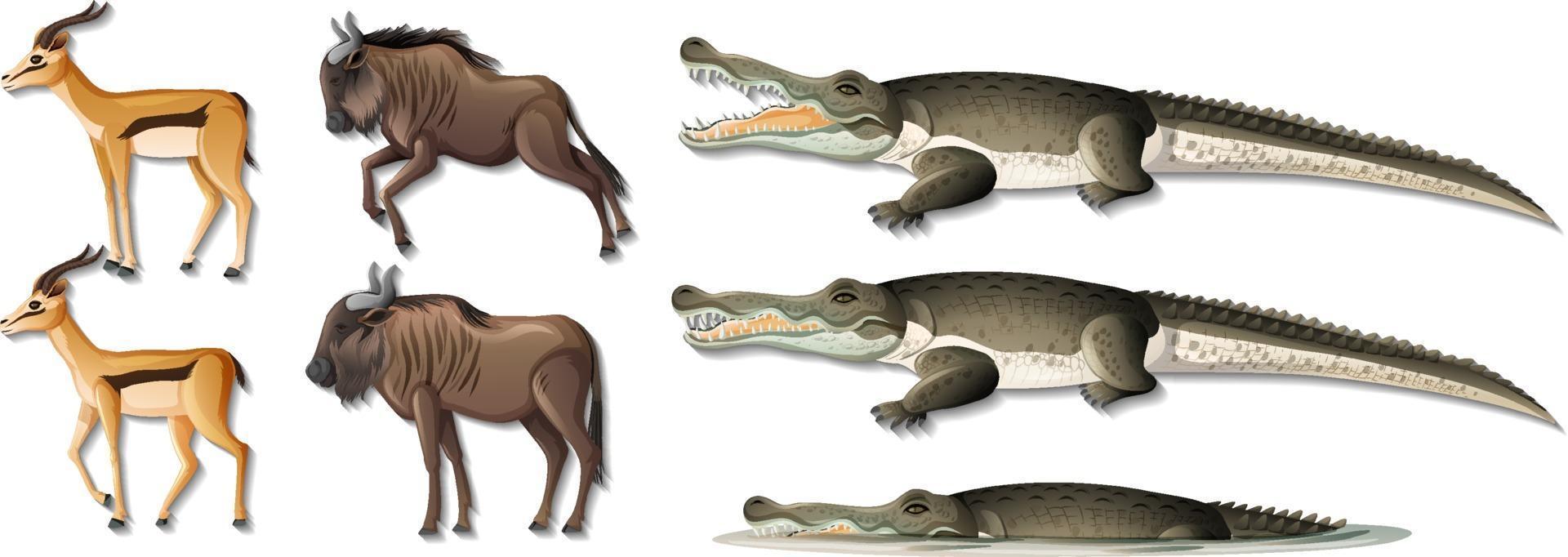 Satz von isolierten wilden afrikanischen Tieren auf weißem Hintergrund vektor