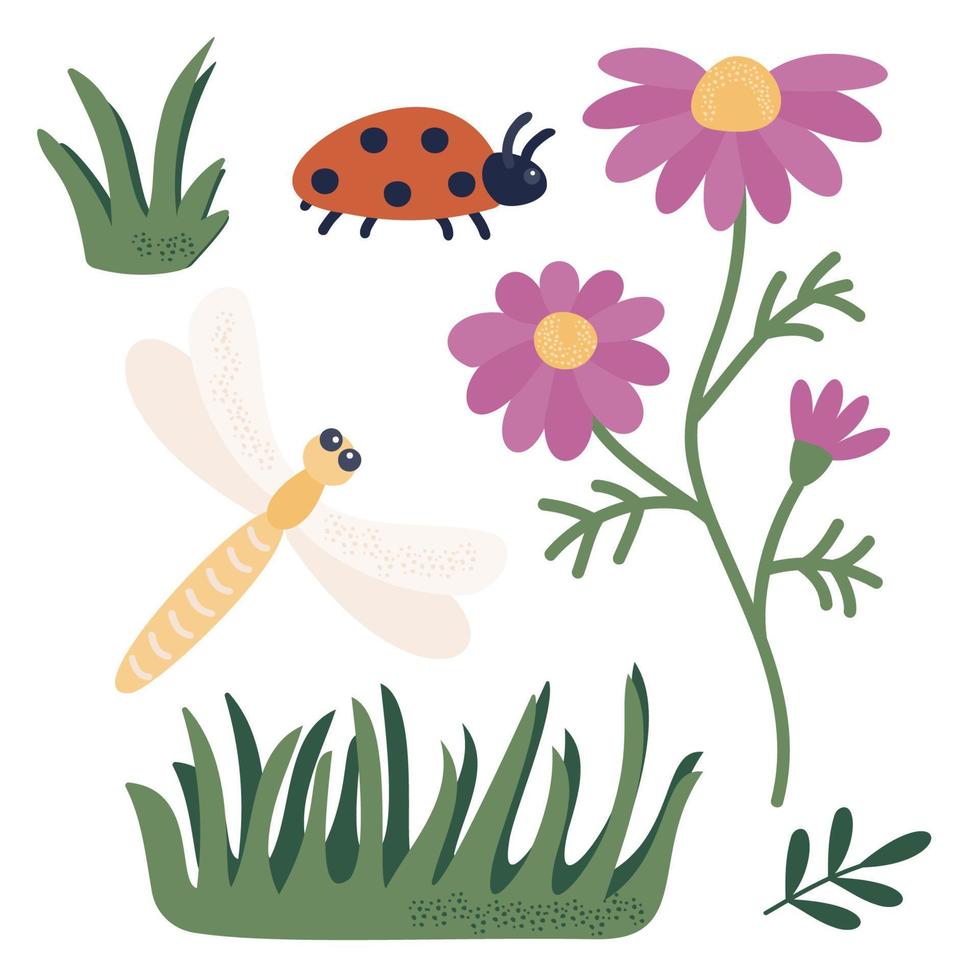 ein einstellen von Elemente zum Dekoration und Design - - Blume, Libelle, Marienkäfer, Gras, Blätter. Vektor Illustration von stilisiert Pflanzen und Insekten im Karikatur Stil. isoliert auf ein Weiß Hintergrund.