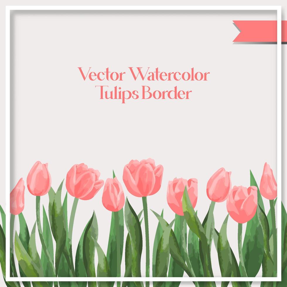 Vektor Aquarell Tulpen Rand Sammlung