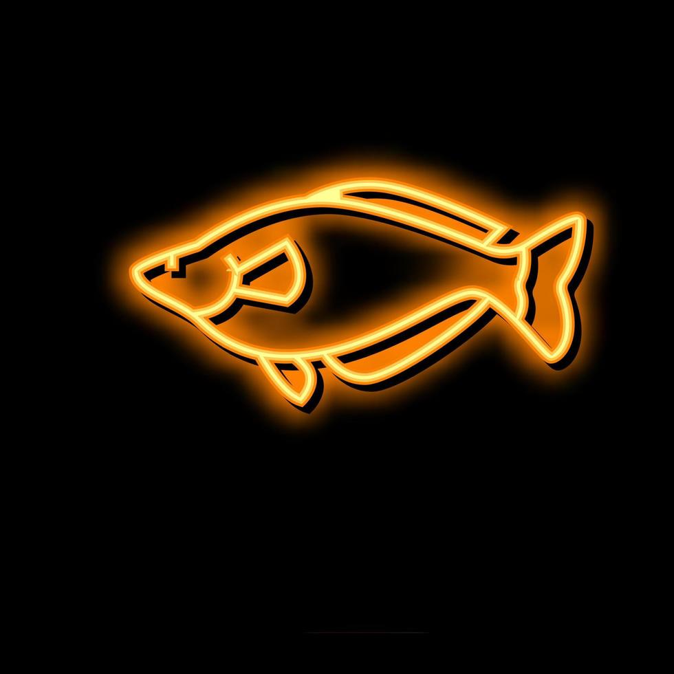 regnbågsfisk akvarium fisk neon glöd ikon illustration vektor