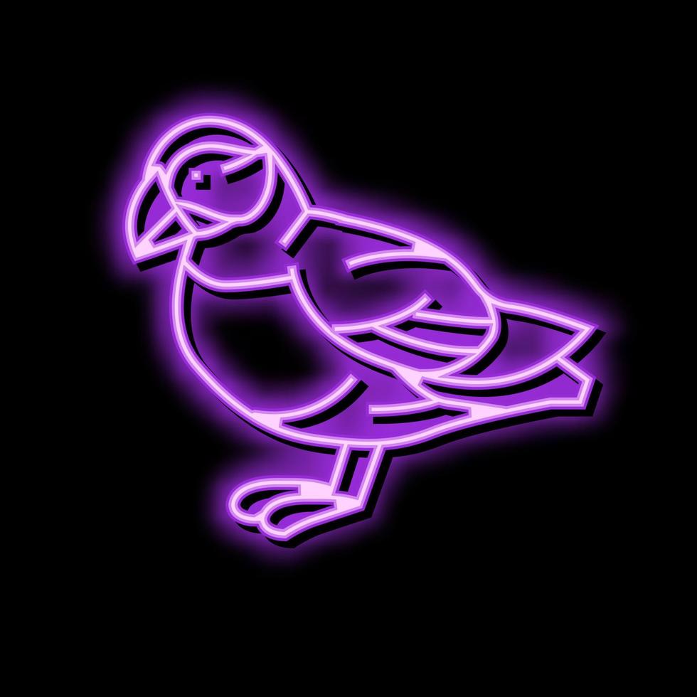atlanten lunnefågel fågel exotisk Färg ikon vektor illustration