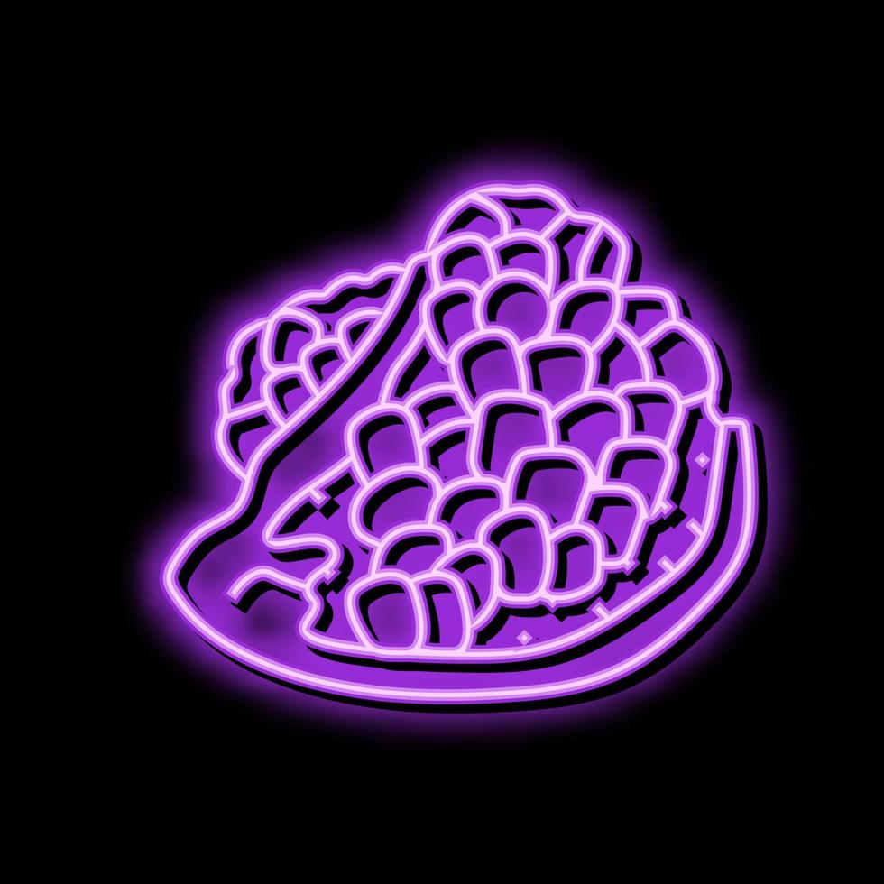 Schnitt Granatapfel Obst Neon- glühen Symbol Illustration vektor