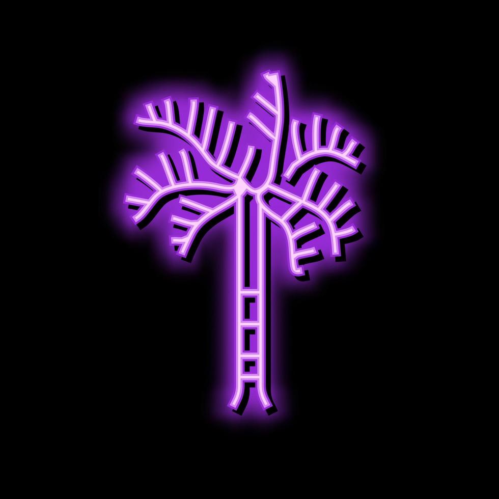 Fuchsschwanz Palme Baum Neon- glühen Symbol Illustration vektor