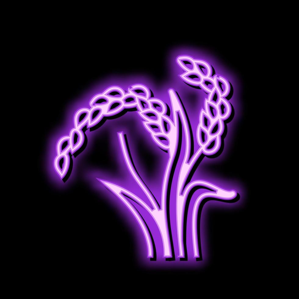 oryza växt mat neon glöd ikon illustration vektor