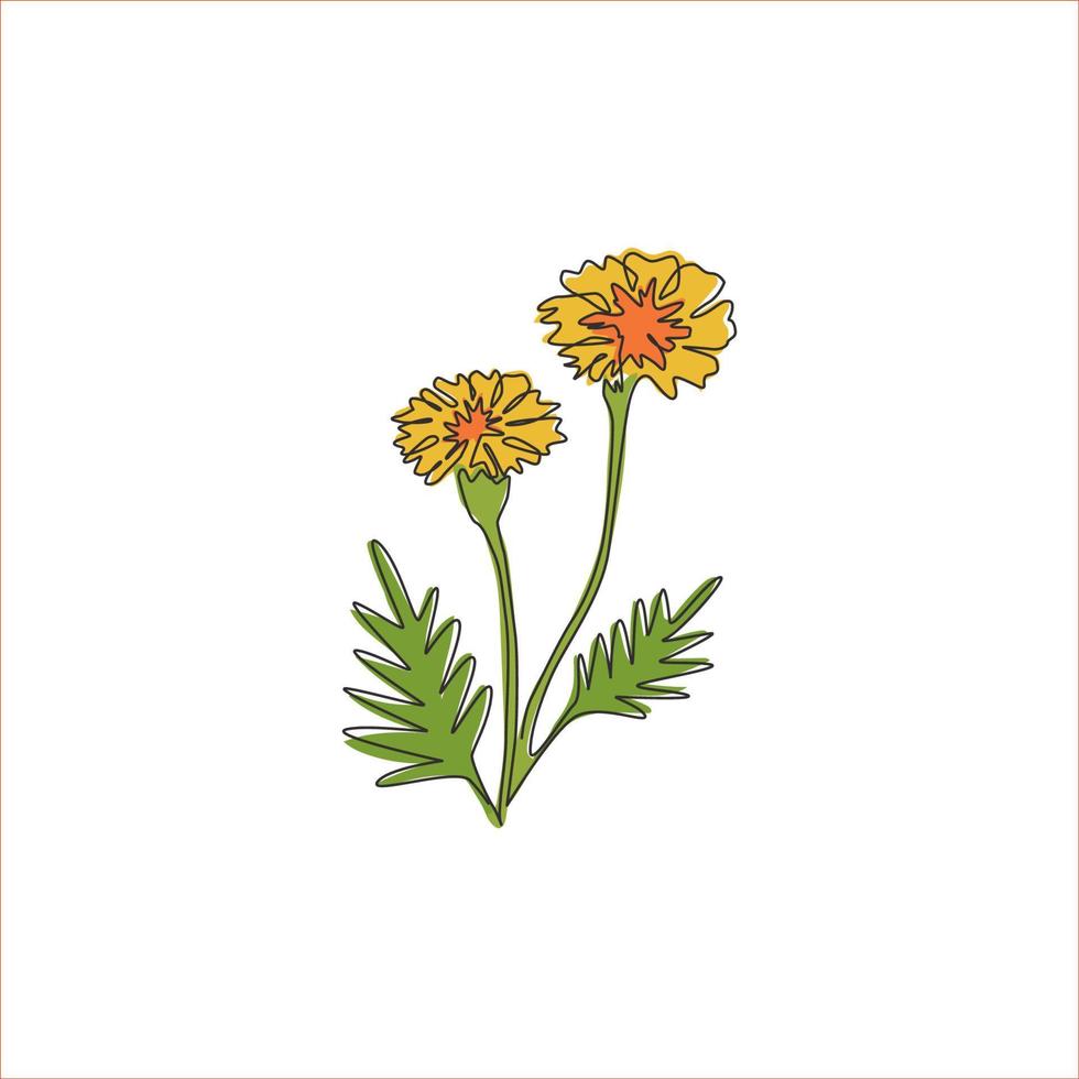 singel one line drawing of beauty fresh tagetes erecta for garden logo. dekorativ ringblommakoncept för heminredning väggkonst affischtryck. modern kontinuerlig linje rita design vektorillustration vektor