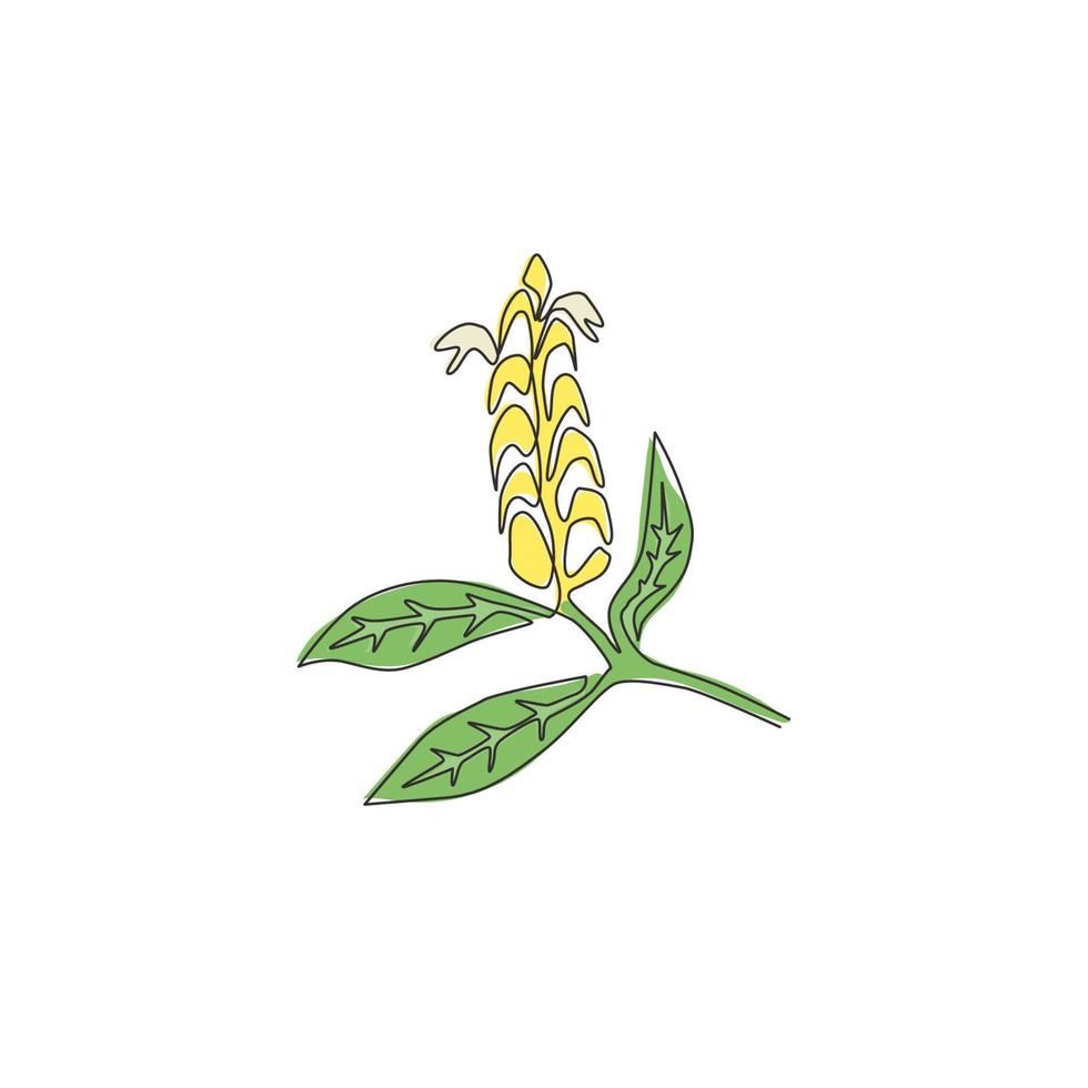 enda kontinuerlig linjeteckning av skönhet färsk klubba växt för heminredning väggkonst affischtryck. dekorativ pachystachys lutea för blommig kortram. moderna en rad rita design vektorillustration vektor