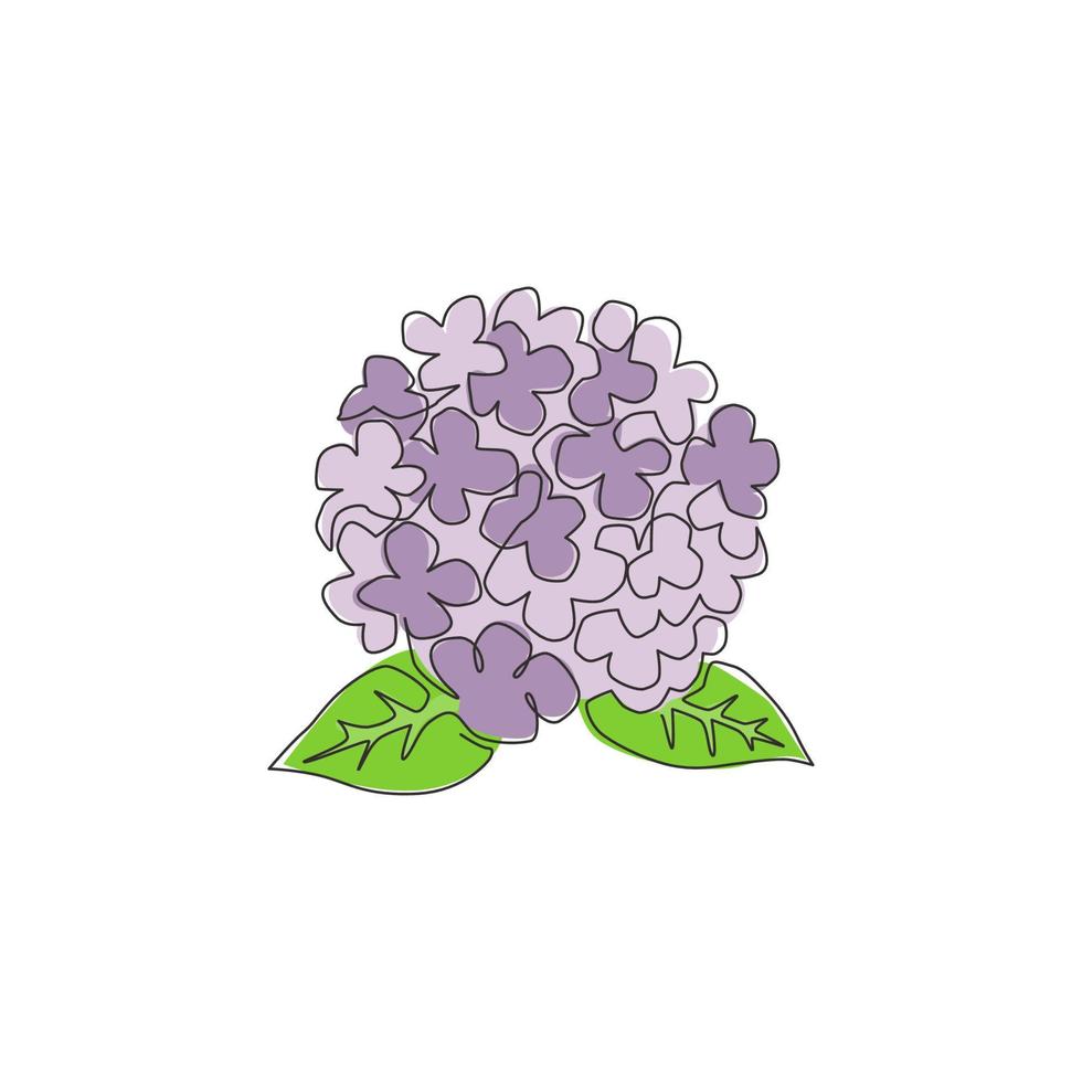 enda kontinuerlig linjeteckning skönhet färsk hortensia för hem väggdekor konst affischtryck. dekorativt hortensia blomma koncept för blommig kort ram. moderna en rad rita design vektorillustration vektor