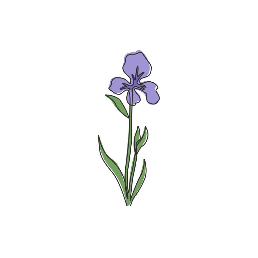 eine durchgehende Linie, die Schönheit frische mehrjährige Pflanzen für den Wanddekor-Heimkunstplakatdruck zeichnet. dekoratives Irisblumenkonzept für Einladungskarte. moderne Single-Line-Draw-Design-Vektor-Illustration vektor