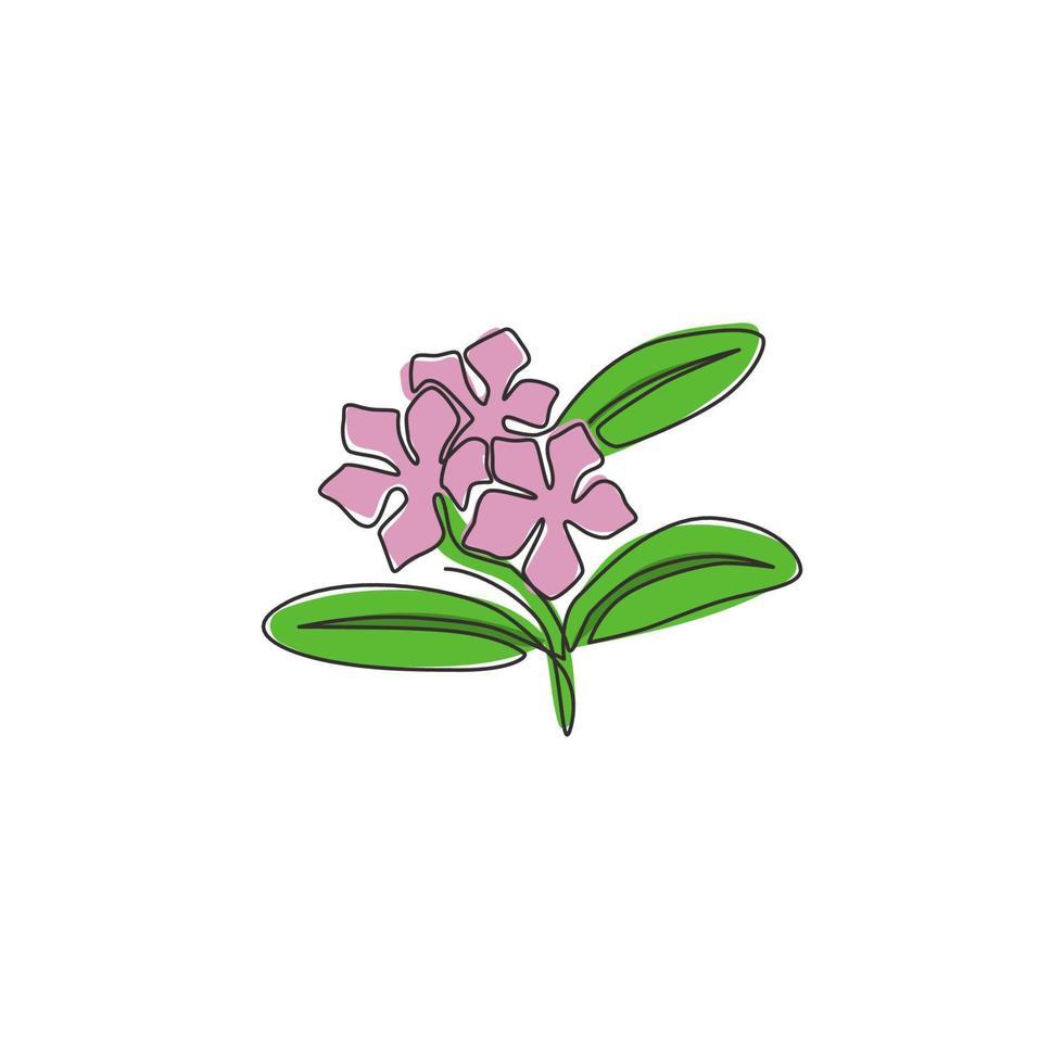 enda kontinuerlig linjeteckning av skönhet färsk vinca för hem väggkonst dekor affisch. utskrivbar dekorativ snäcka blomma för gratulationskort prydnad. moderna en rad rita design vektorillustration vektor