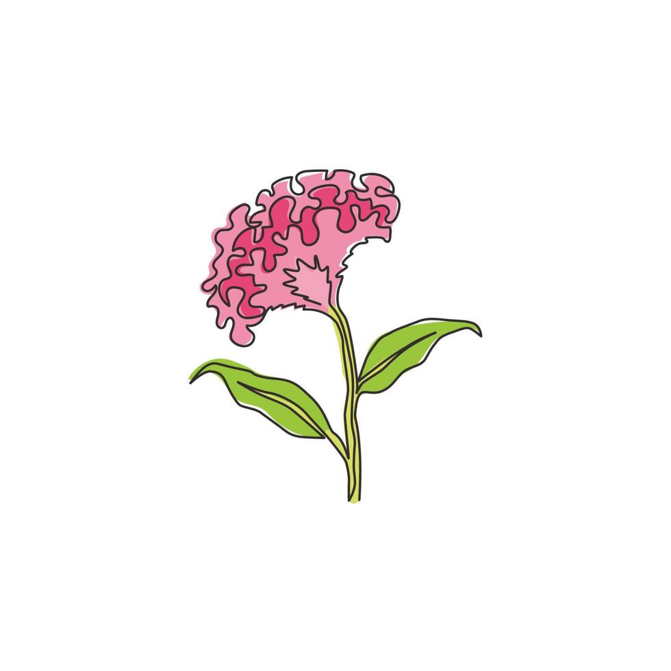 enda kontinuerlig linjeritning av skönhet färska ullblommor för trädgård logotyp. utskrivbar dekorativ tuppkam blomma för hem väggdekor konst affischtryck. moderna en rad rita design vektorillustration vektor