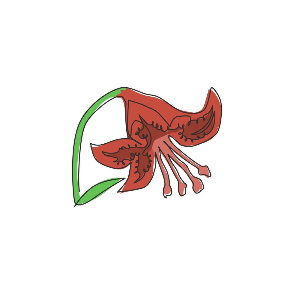 enda en rad ritning av skönhet färsk lilium för trädgård logotyp. utskrivbar dekorativ tigerliljablomma för väggkonst heminredning affischtryck. modern kontinuerlig linje rita design vektorillustration vektor