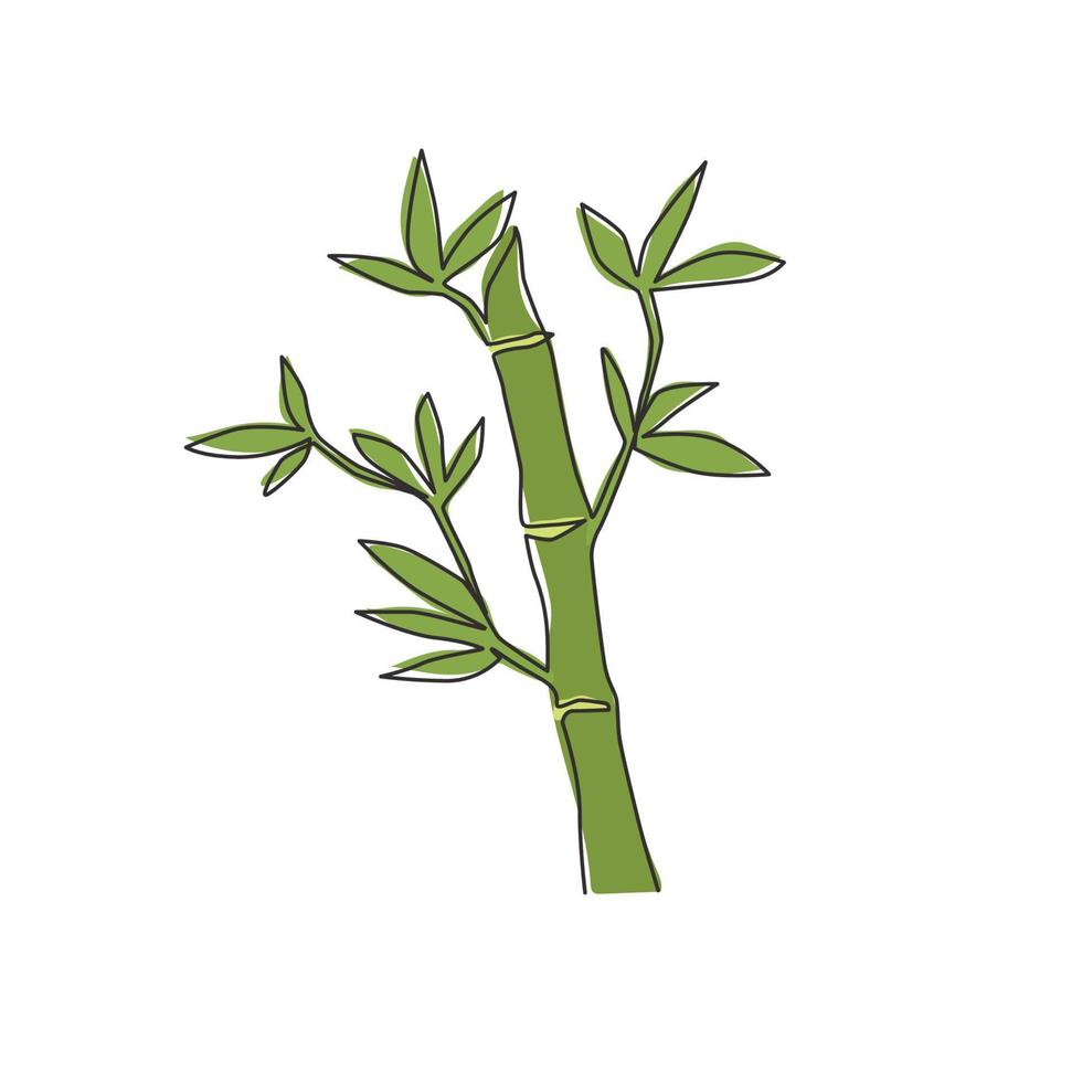 en enda linjeritning av bambuträd för plantagelogotypidentitet. färsk vintergrön perenn blommande växtkoncept för växtikon. modern kontinuerlig linje grafisk rita design vektorillustration vektor