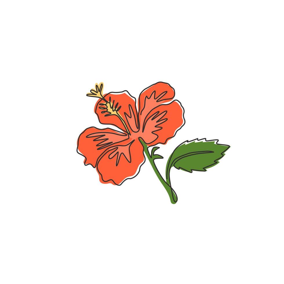 en enda linjeteckning av skönhet färsk hibiskus för trädgårdslogotyp. dekorativa rose mallow blomma koncept för hem vägg dekor affisch. modern kontinuerlig linje grafisk rita design vektorillustration vektor