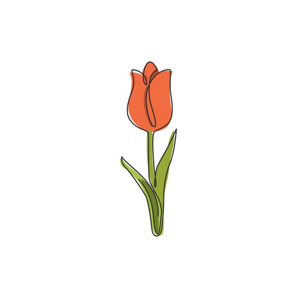eine durchgehende Linie, die frische Tulpe der Schönheit für das Logo zeichnet. druckbare dekorative holland nationalität blume konzept wohnwanddekor poster art. moderne einzeilig zeichnende Design-Vektorgrafikillustration vektor