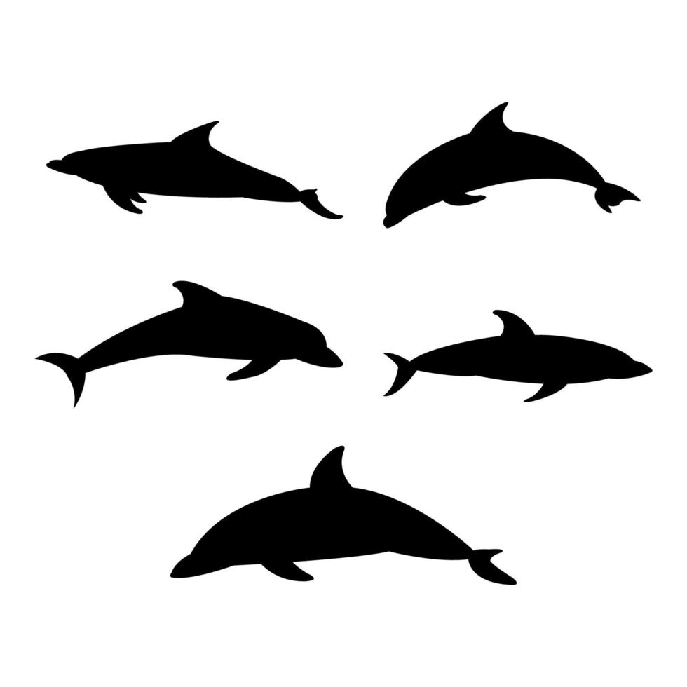 Satz Delfine auf weißem Hintergrund vektor