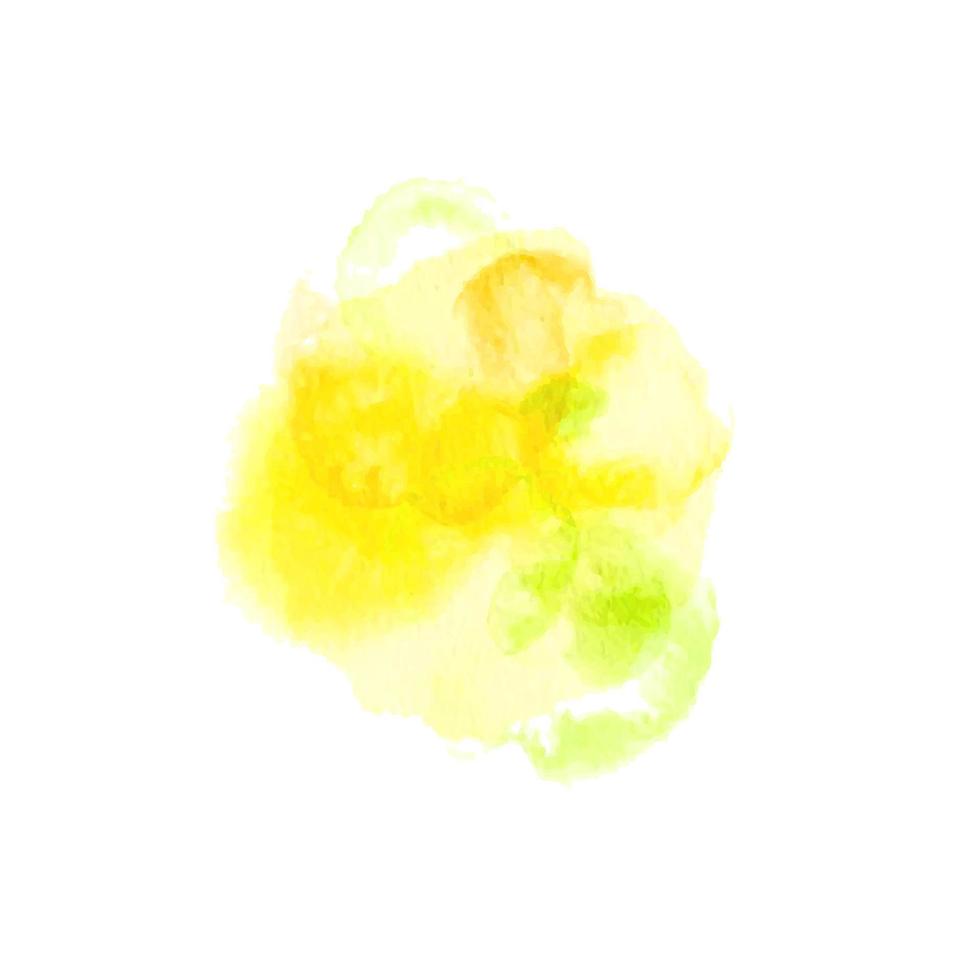 solros, ljus gul, och kalk Färg bakgrund fläck, klick, liknar en form av citron. våt vattenfärg på papper. abstrakt hand dragen borsta fläck. unik konstnärlig bakgrund isolerat på vit vektor