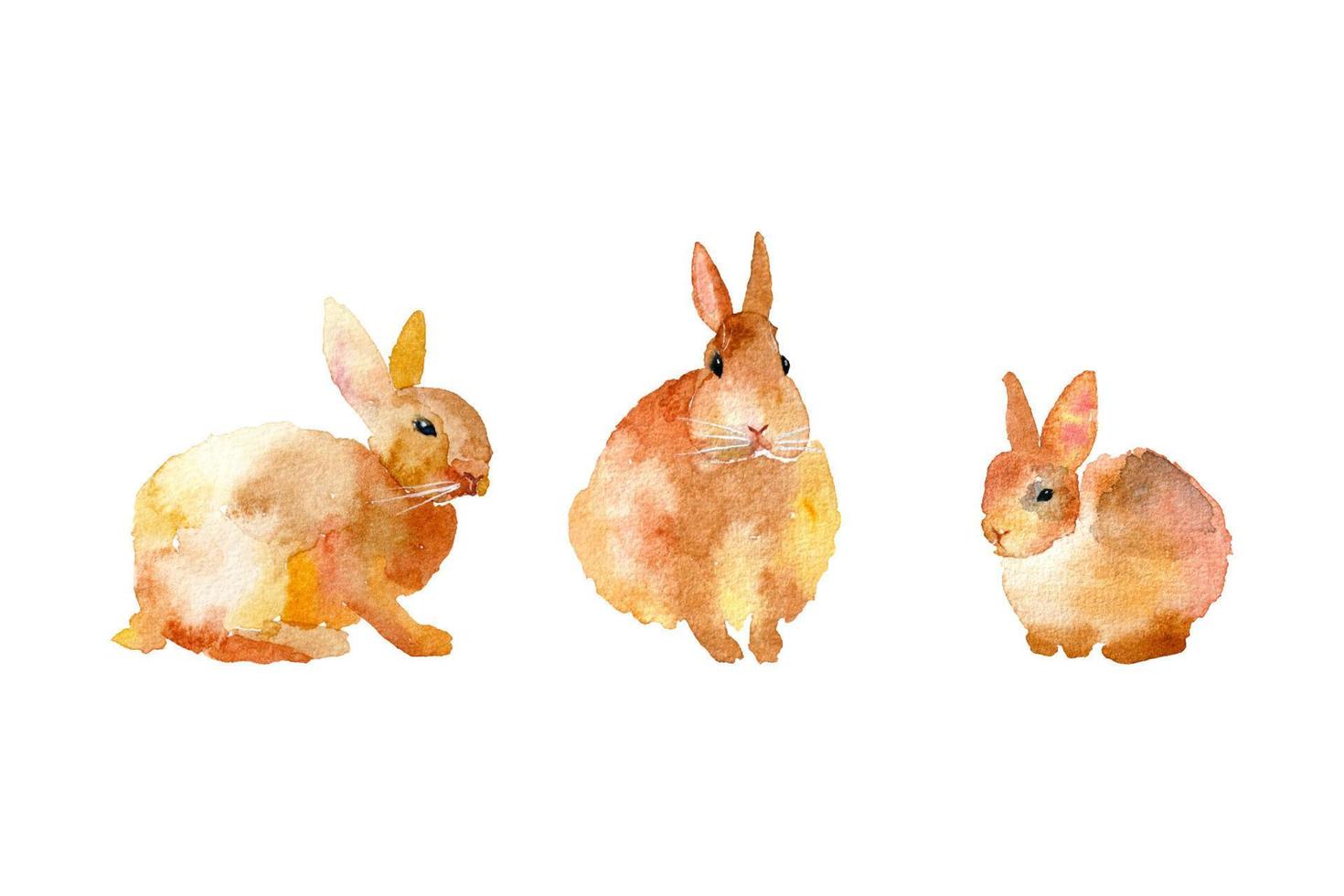uppsättning av 3 hand dragen vattenfärg kaniner. brun vattenfärg kaniner. kinesisk ny år av kanin. påsk kaniner vektor