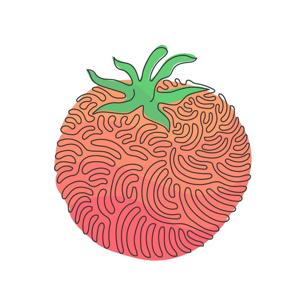 kontinuerlig en rad ritning hel hälsosam ekologisk tomat för jordbruk logotyp identitet. färska tropiska grönsaker för vegie trädgård ikon. swirl curl stil. enkel rad rita design vektorillustration vektor