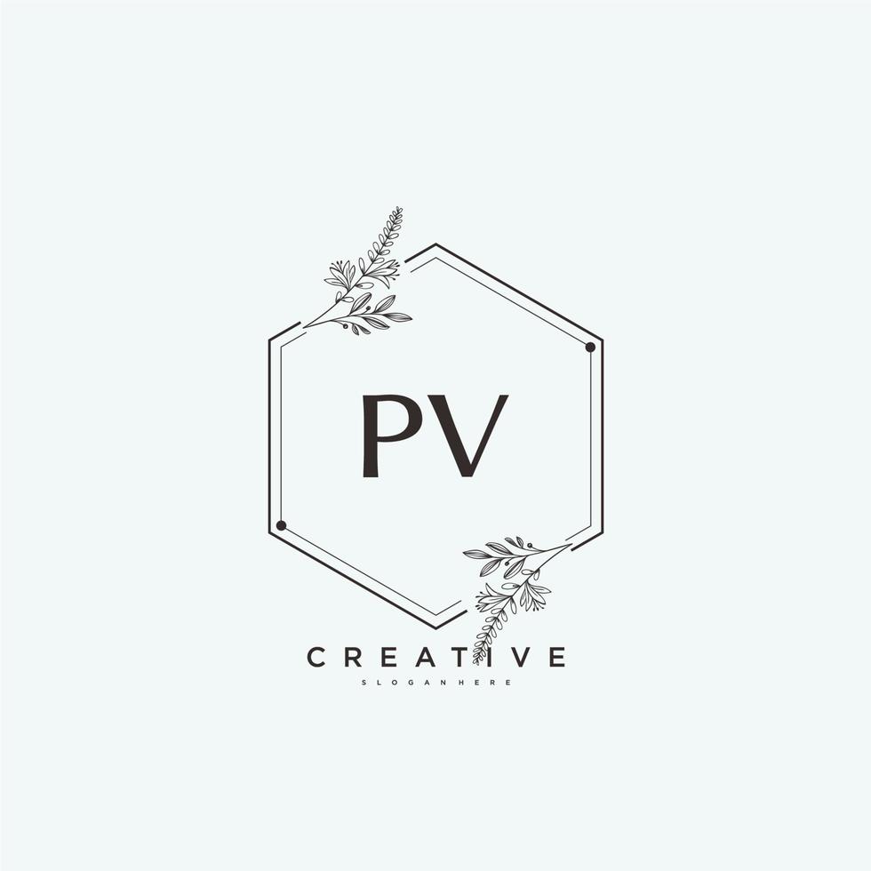 pv skönhet vektor första logotyp konst, handstil logotyp av första signatur, bröllop, mode, smycken, boutique, blommig och botanisk med kreativ mall för några företag eller företag.