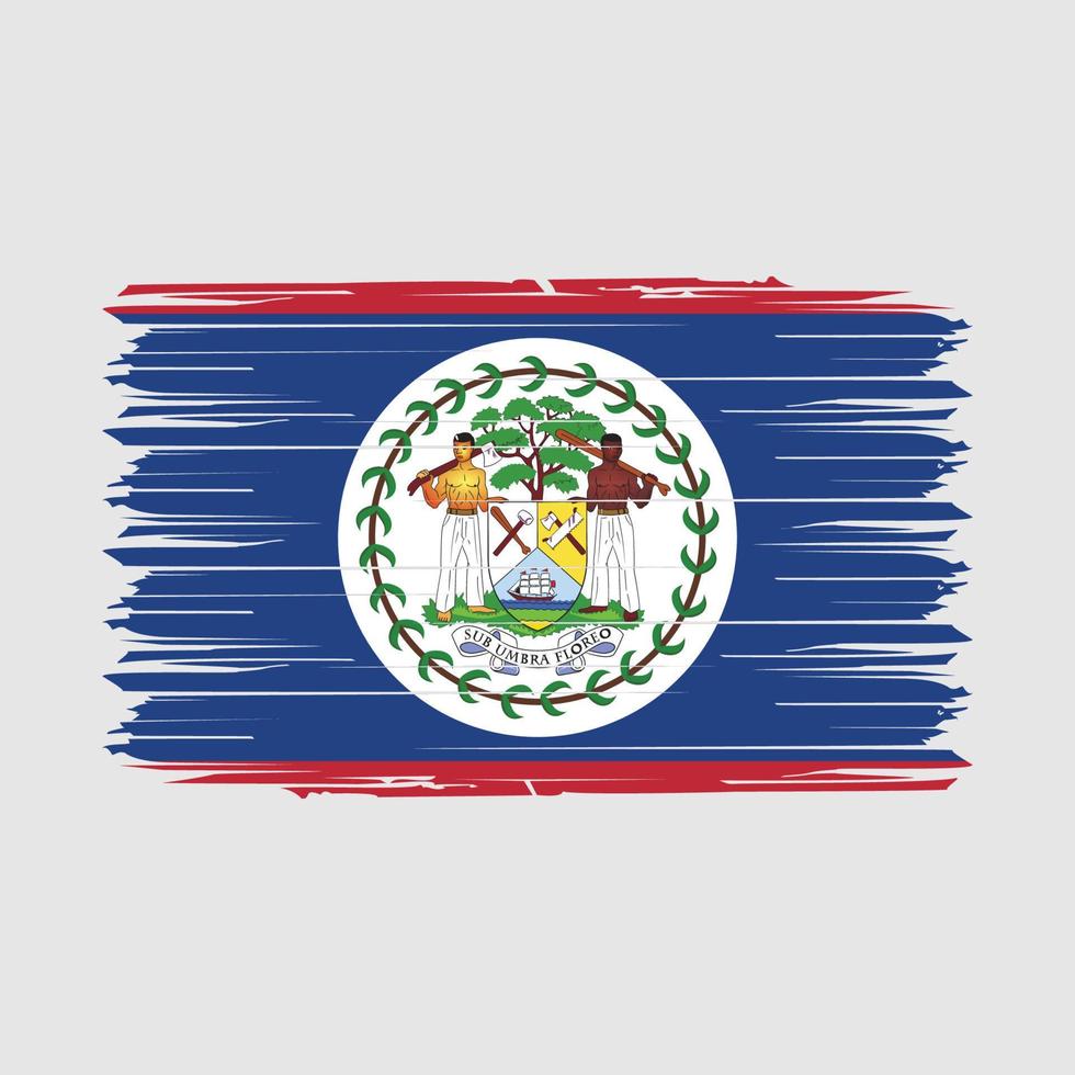 belize flagga borsta vektor illustration