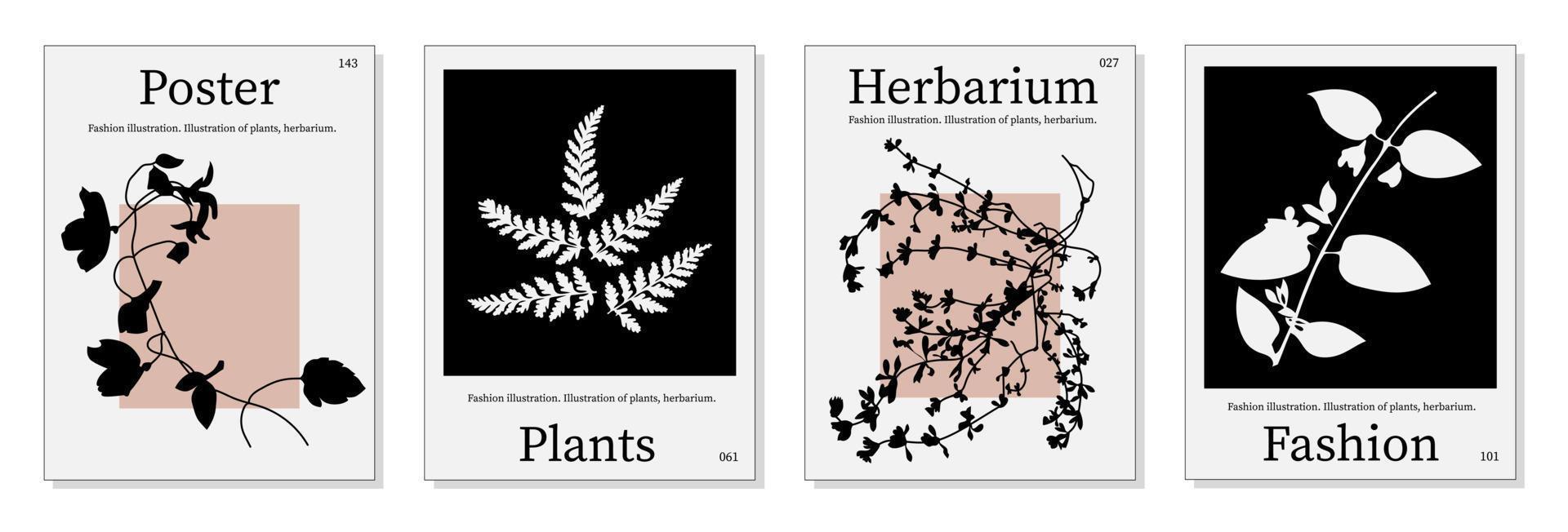 torkades blommor uppsättning. interiör målning, Hem bekvämlighet. färgrik illustrationer av torkades blommor för täcker, bilder. vektor illustration.